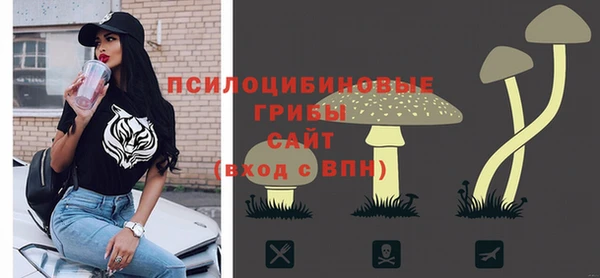 прущие крисы Арсеньев