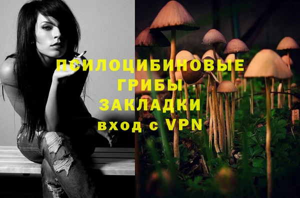 первитин Тында